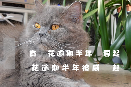 有錢花逾期半年說要起訴我怎么辦，面對有錢花逾期半年被威脅起訴，你該怎么做？
